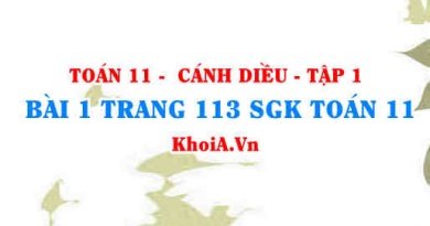 Bài 1 trang 113 SGK Toán 11 tập 1 Cánh Diều